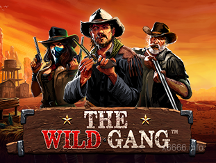 The Wild Gang